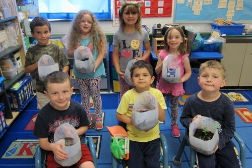 Elementary-students-container-gardens