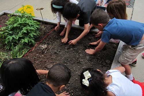 Elementary-students-plant-seeds-school-garden