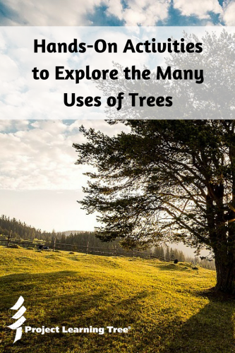 hands-on activities to explore the many uses of trees