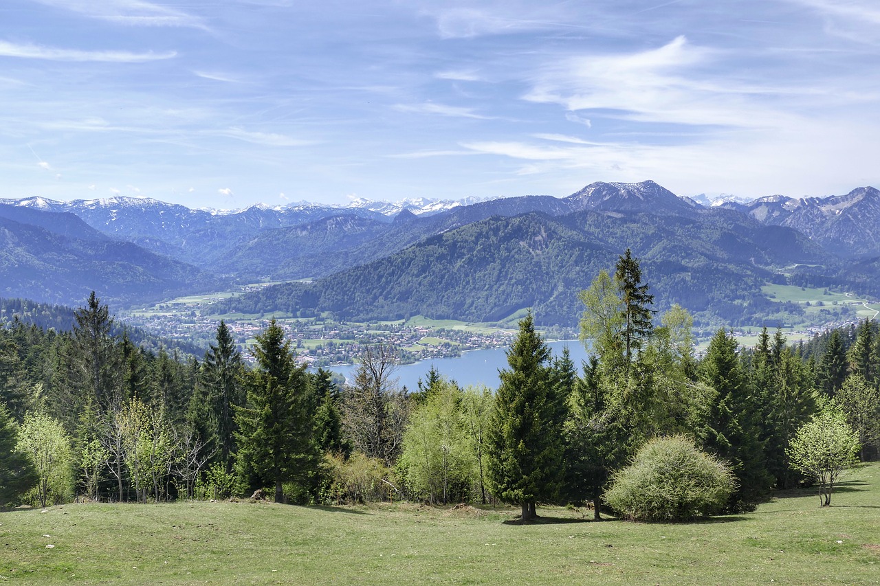 Mountains and trees