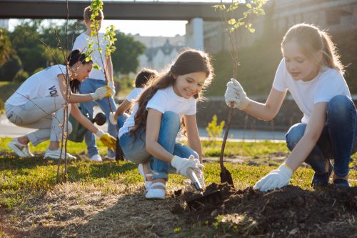 Youth planting a tree