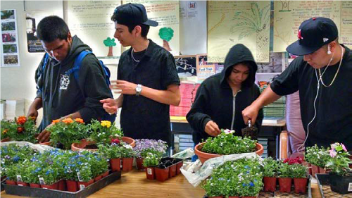 students-plant-spring-color-bowls