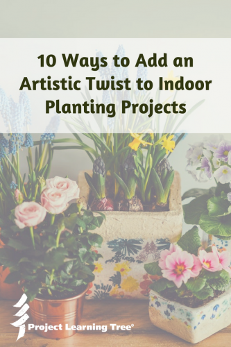 10 ways to add an artistic twist to indoor planting projects