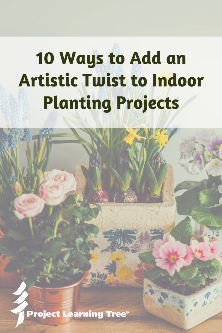 10 ways to add an artistic twist to indoor planting projects - Project ...