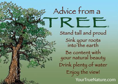 Turbulens impuls Rummet Advice from Your True Nature - Project Learning Tree