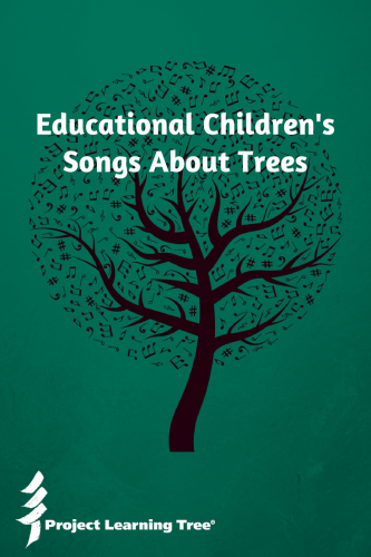 Educational Children's songs about trees