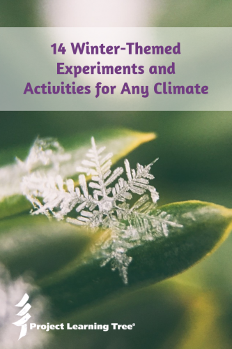 14 winter-themed experiments and activities for any climate