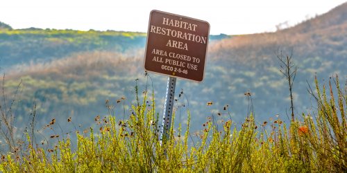 Habitat restoration area sign on a grassy mountain