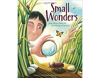 childrens-book-cover-small-wonders-jean-henri-fabre-insects