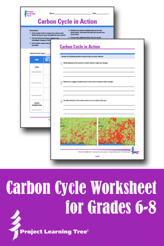 carbon cycle worksheet for grades 6-8