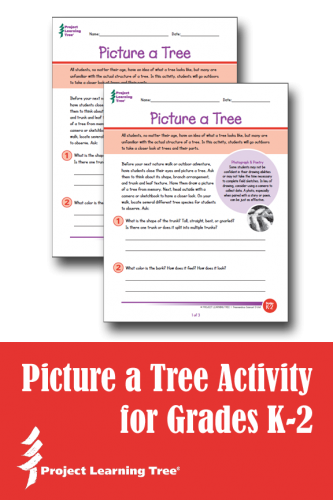 Picture a tree activity for grades k-2