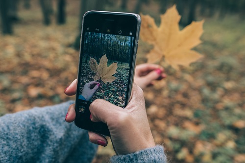 Leaf phone photo app