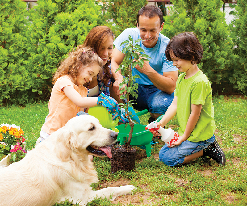 Family with two children and dog planting tree and flowers in a back yard