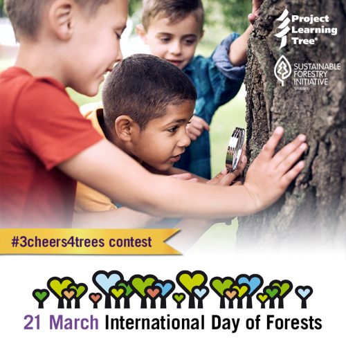 #3cheers4trees-boys-magnifying-glass-tree