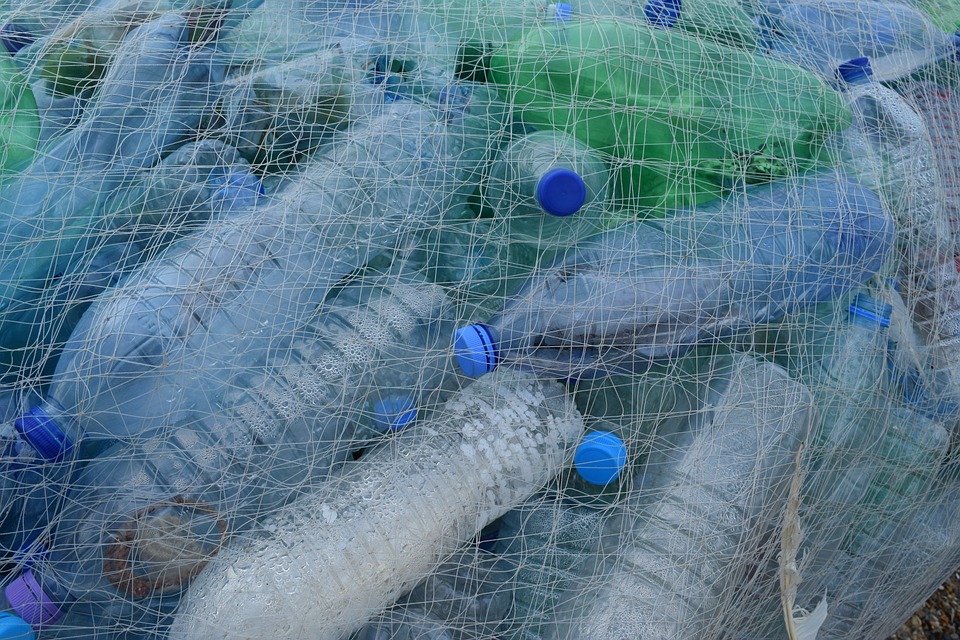 Bag full of empty plastic water bottles - one example of single-use plastic