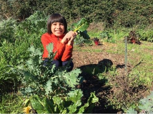 young-girl-holding-kale-leaf