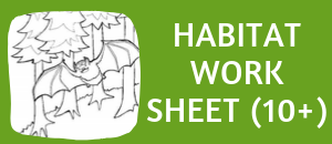 bat habitat student worksheet