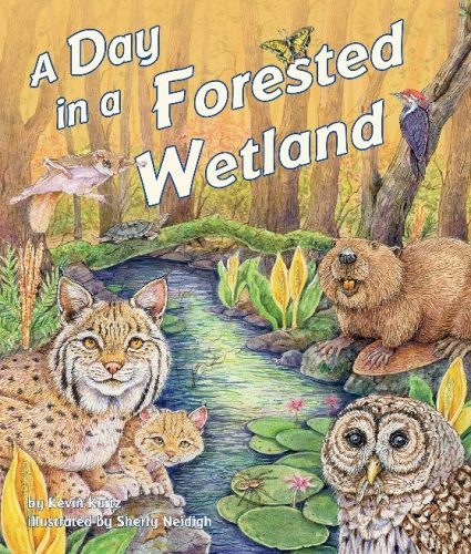 A Day in a Forested Wetland book cover