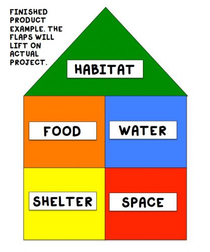 habitat spy house template