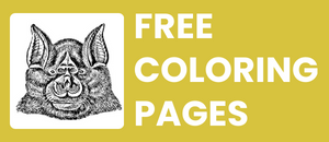 printable free coloring pages of bats