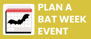 plan a batweek event