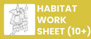 free bat habitat worksheet for ages 10 and up