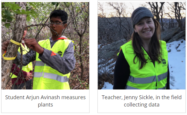 Student Arjun Avinash measures plants and teacher, Jenny Sickle, collects data in the field