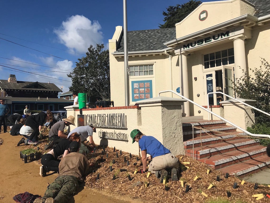 Santa Cruz students restore garden outside museum