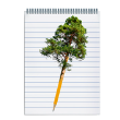 Pencil transforming into a tree above a notebook