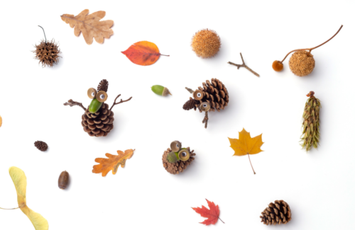 Dried leaves of different colors including orange yellow red and 3 pine cones scattered across a white table