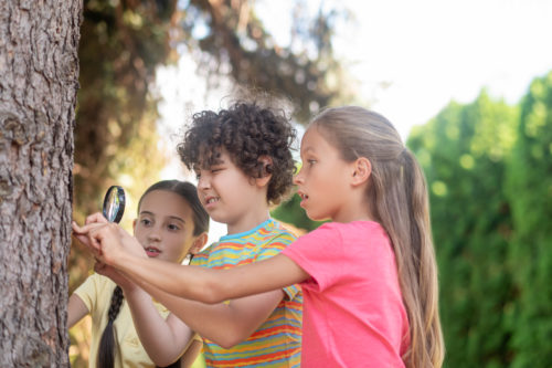 Attentive curly-haired boy with magnifying glass looking intently at tree trunk and two surprised girls