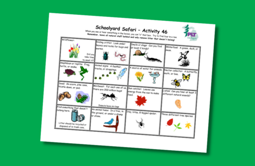 Schoolyard safari bingo sheet with 4 by 4 rows that identify nature in a schoolyard