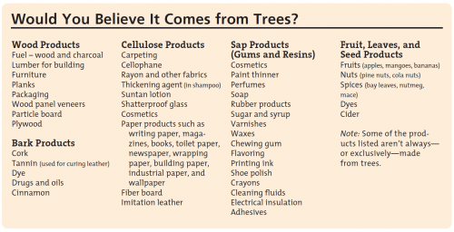 Would You Believe PLT activity sheet