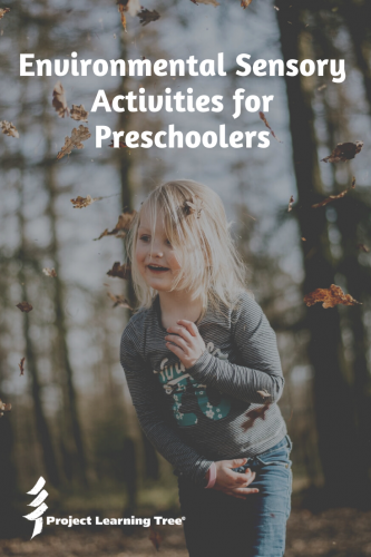 Environmental Sensory Activities for Preschoolers