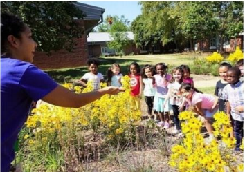 Kindergarten students release butterflies