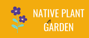 purple flower on the left of a yellow button with the text native plant garden and a bee resting on the word garden