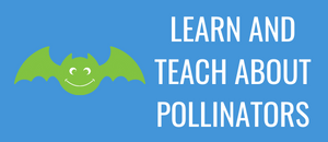 bat on the left side of a light blue button with the text learn and teach about pollinators