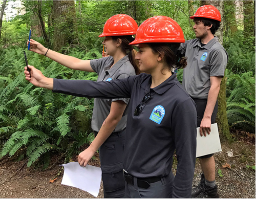 Young Forestry Professionals Outdoors