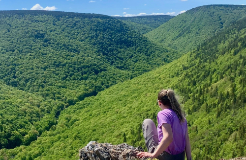 Young Woman Overlooking Forests