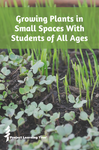 Growing Plants in Small Spaces With Students of All Ages ...