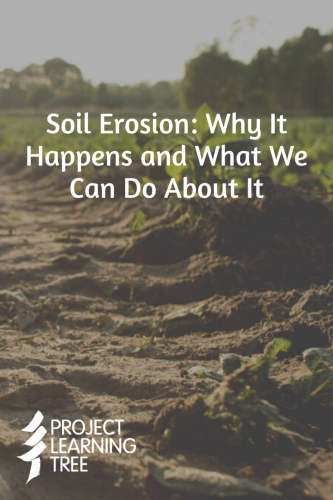 Soil Erosion: Why it happens and what we can do about it