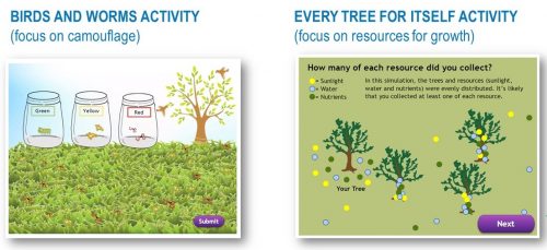 virtual learning PLT activity simulations