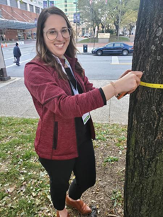 rachel-lang-measures-a-tree