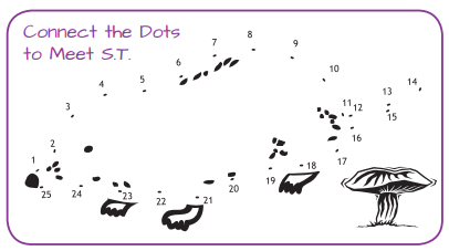 project-learning-tree-connect-the-dots-activity-st-shrew