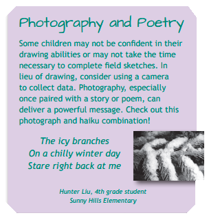 photography-and-poetry-connection