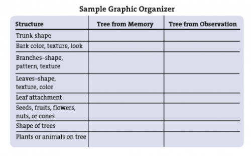 sample-graphic-organizer