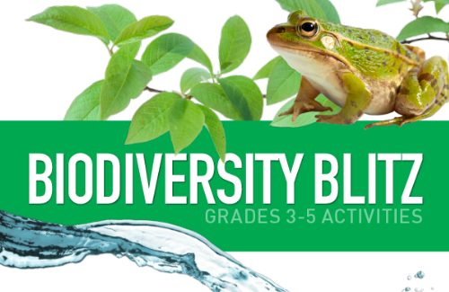 cover-of-project-learning-tree-biodiversity-blitz-activity-collection