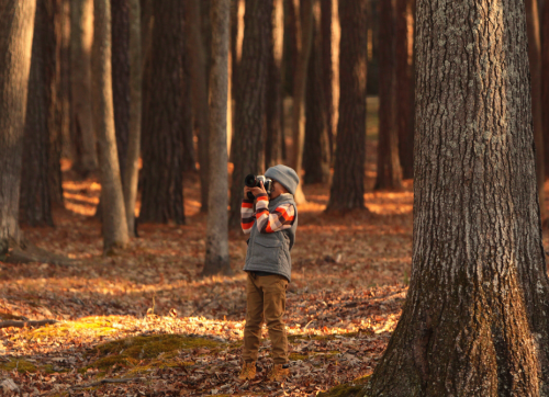 child-photographing-the-autumn-woods