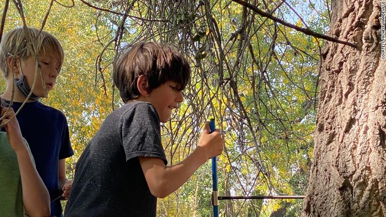 Ten-year-old boy taking a core sample from a tree.