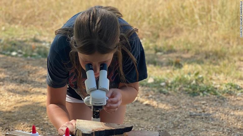 A student looks at the rings of a tree through a microscope.